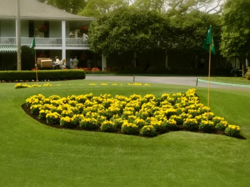 Augusta National Golf Club Augusta National Golf Club
